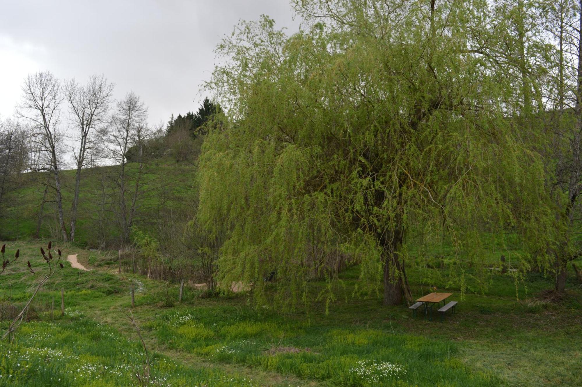 La Fabrique Du Roncon Villa Saint-Bonnet-le-Troncy Dış mekan fotoğraf